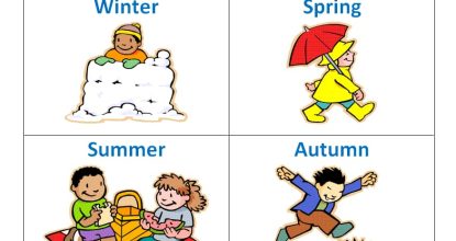 3 клас. Unit 8. ”Seasons, Weather, Clothes” (Свята і традиції України та країн виучуваної мови)