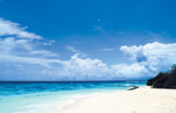 4 клас. 6. Nature around us (Природа навколо нас)